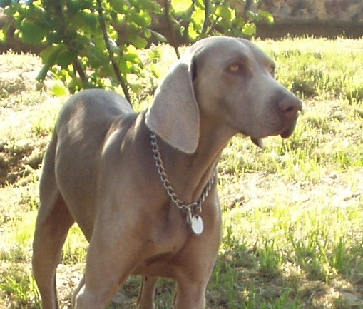 Olympe (Sans Affixe)